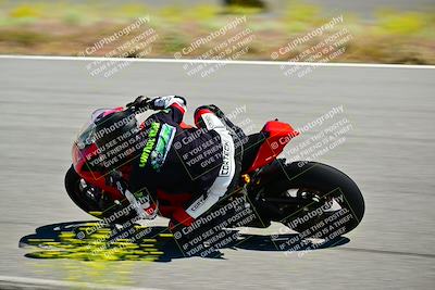 media/May-10-2024-2WTD (Fri) [[c88d7990af]]/Group C/Session 2-The Bowl/